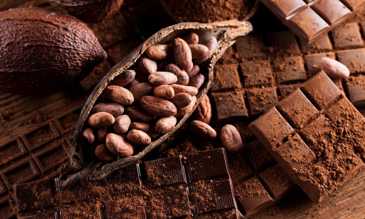 Cacao vs Cocoa vs Chocolate (The difference)
