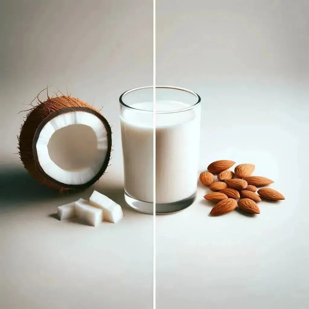 Coconut Milk or Almond Milk The Best for Weight Loss Z Natural Foods