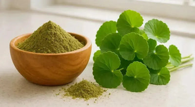 This is a picture of a wooden bowl filled with gotu kola powder with fresh gotu kola leaves on a kitchen countertop