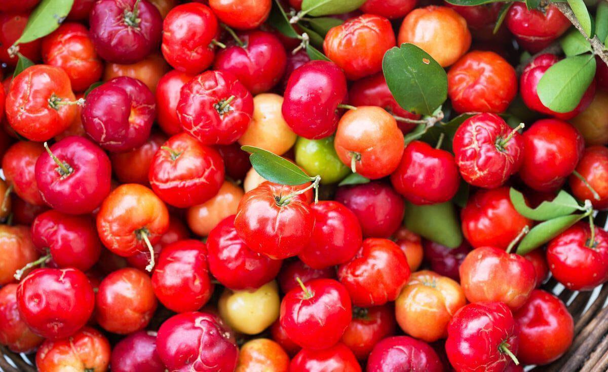 Introducing the best natural drink for vitamin C: Organic Booster C