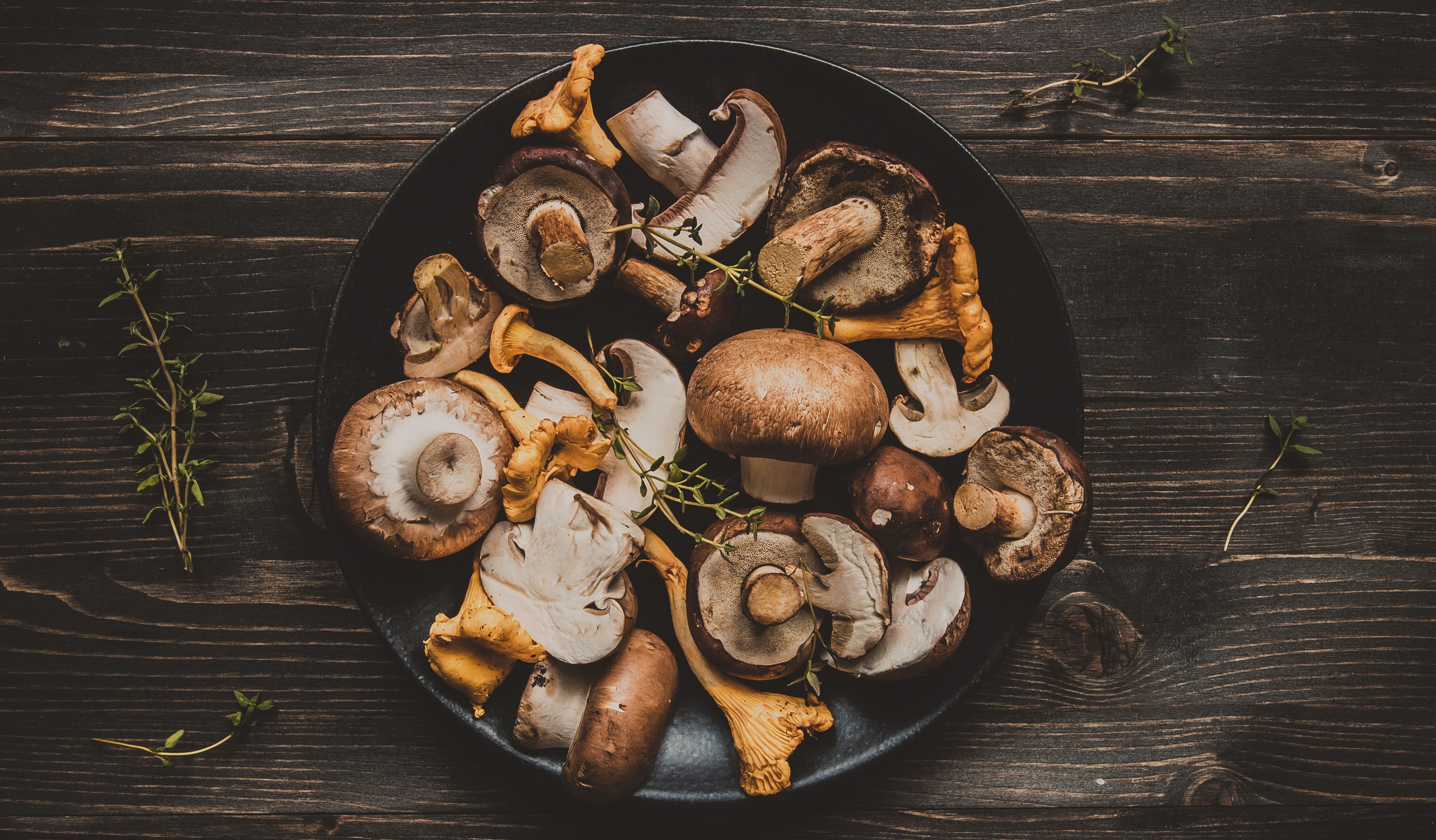Most nutritious mushrooms (list of 7)