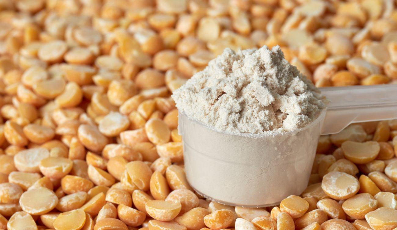 This is a picture of a scoop of pea protein powder on top of a background of dried peas.