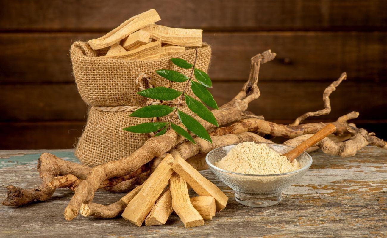 This is a picture of tongkat ali root and powder on a wooden table