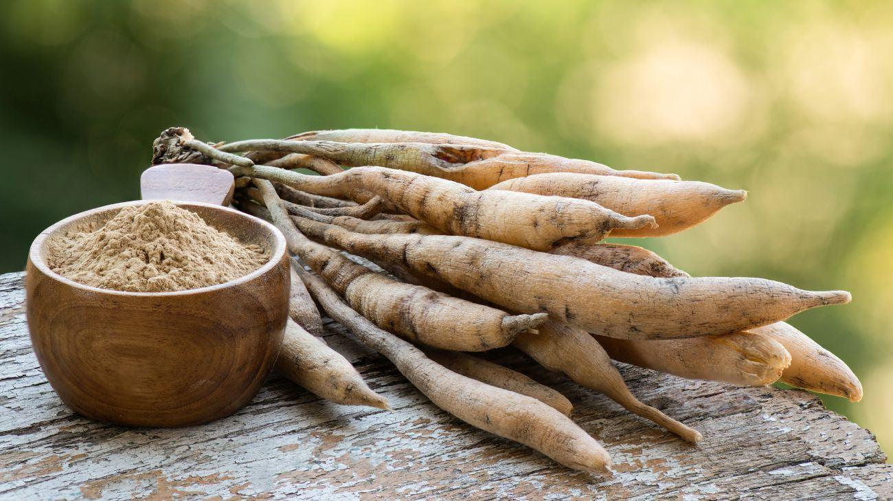 What does Shatavari do for the body?