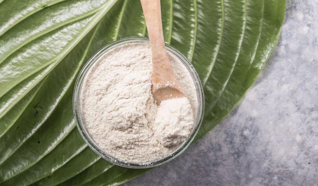 This is a picture of collagen powder in a glass bowl with a wooden spoon, sitting on a palm leaf with a light back ground.