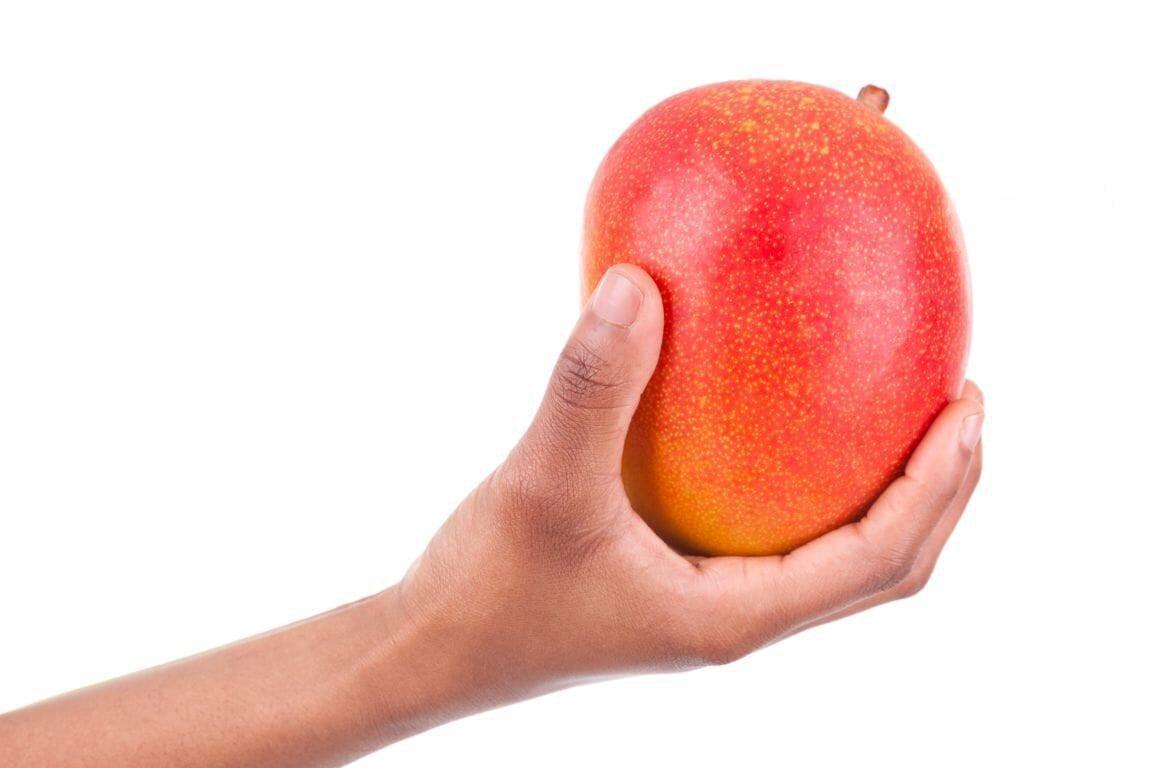 This is a picture of a person holding a mango with arm stretched out with a white background.