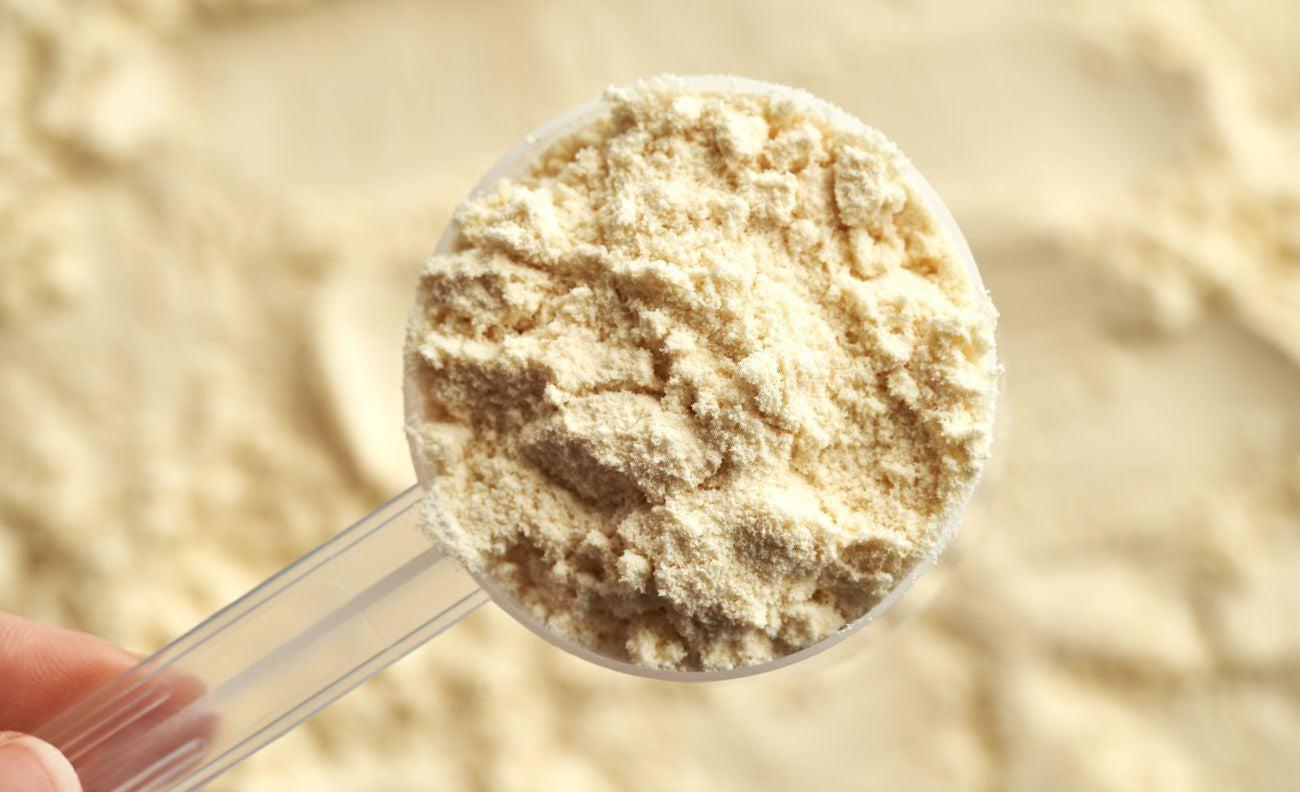 Z Natural Foods’ Organic Grass-fed Vanilla Whey Protein Concentrate VS. Orgain’s Grass-fed Vanilla Whey Protein Concentrate