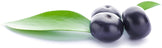 Image of 3 fresh acai berries and green leaves