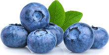 Image of several Blueberries with stem and leaves in the background