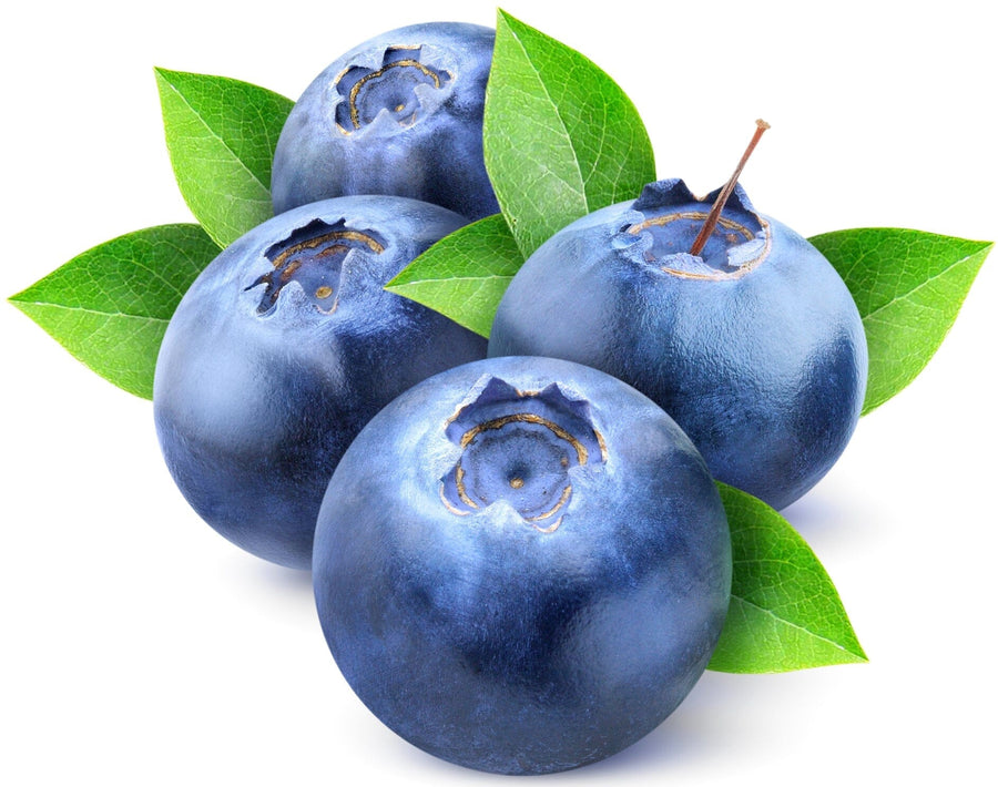 Image of three Blueberries with two leaves on white background.