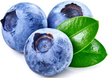 Image of Blueberries with stem on white background