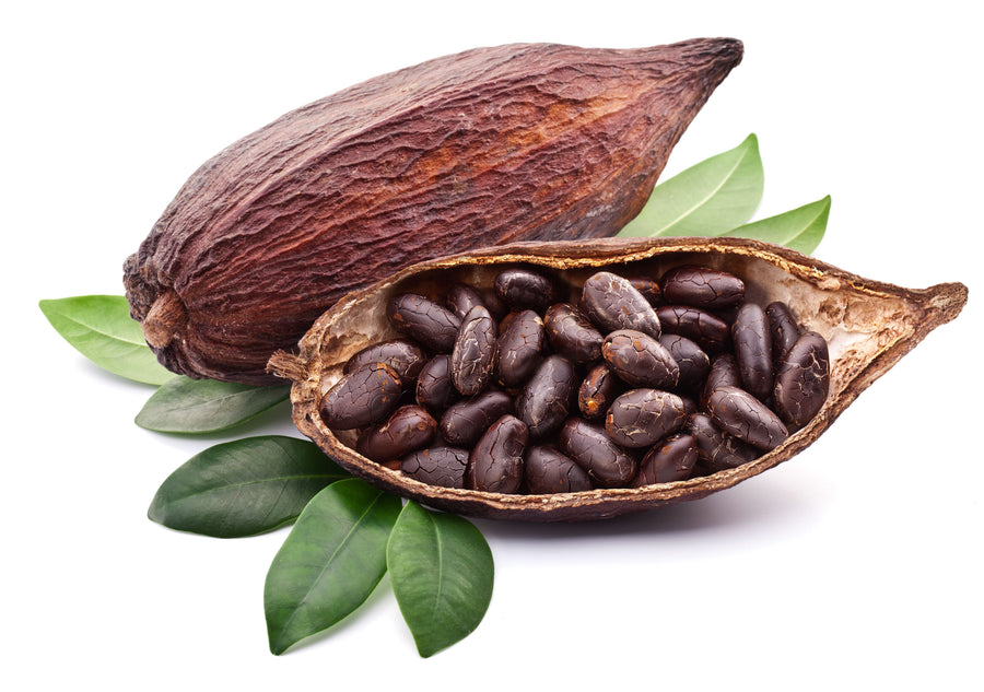 Image of a Cacao Pod full of Cacao beans