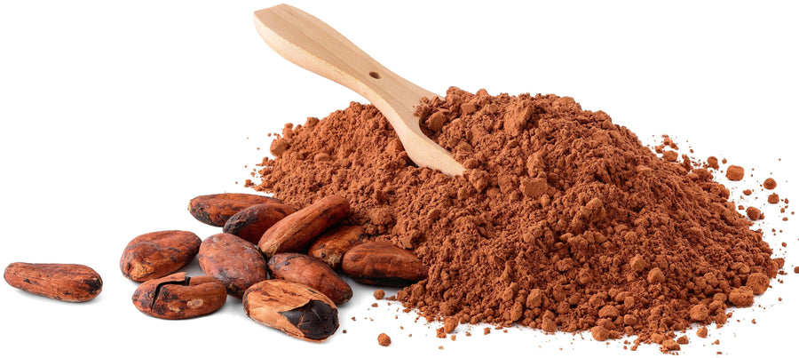 Cacao Powder with beans and wooden spoon on white background