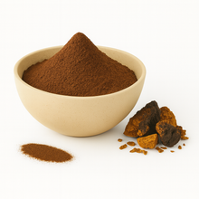 A bowl of brown chaga mushroom powder with chaga chunks beside it on a white background.