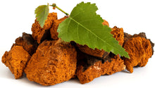 Photo of chunks of brown chaga mushroom and birch leaf