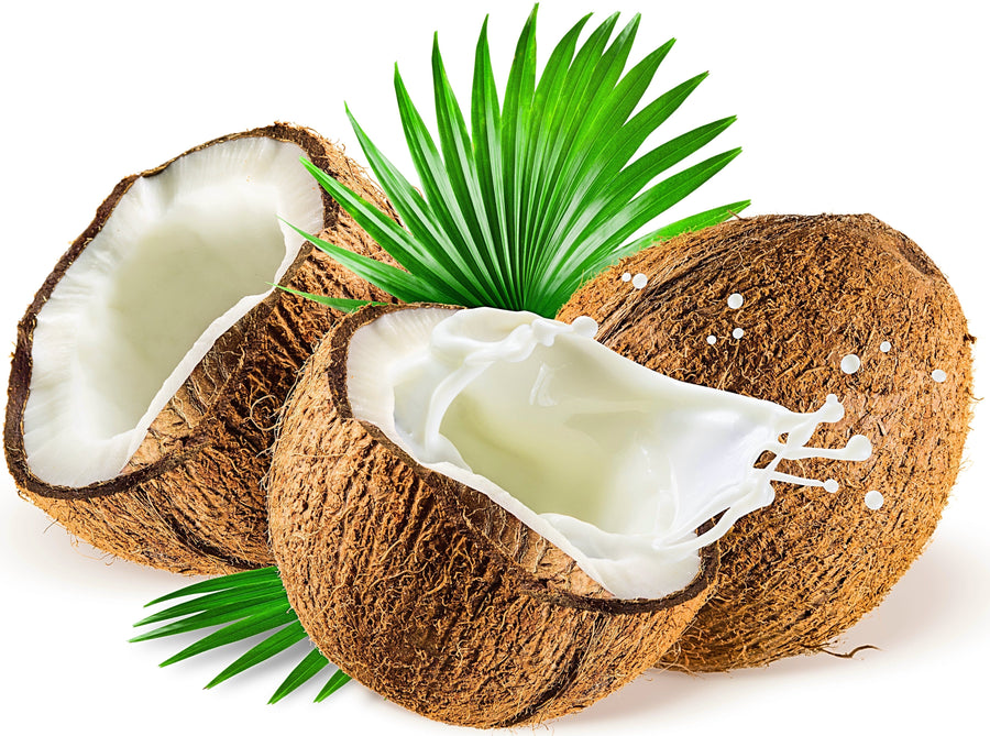 Image of whole and halved Coconuts, one halved coconut is splashing coconut milk from it.rs Z Natural Foods 33 lbs