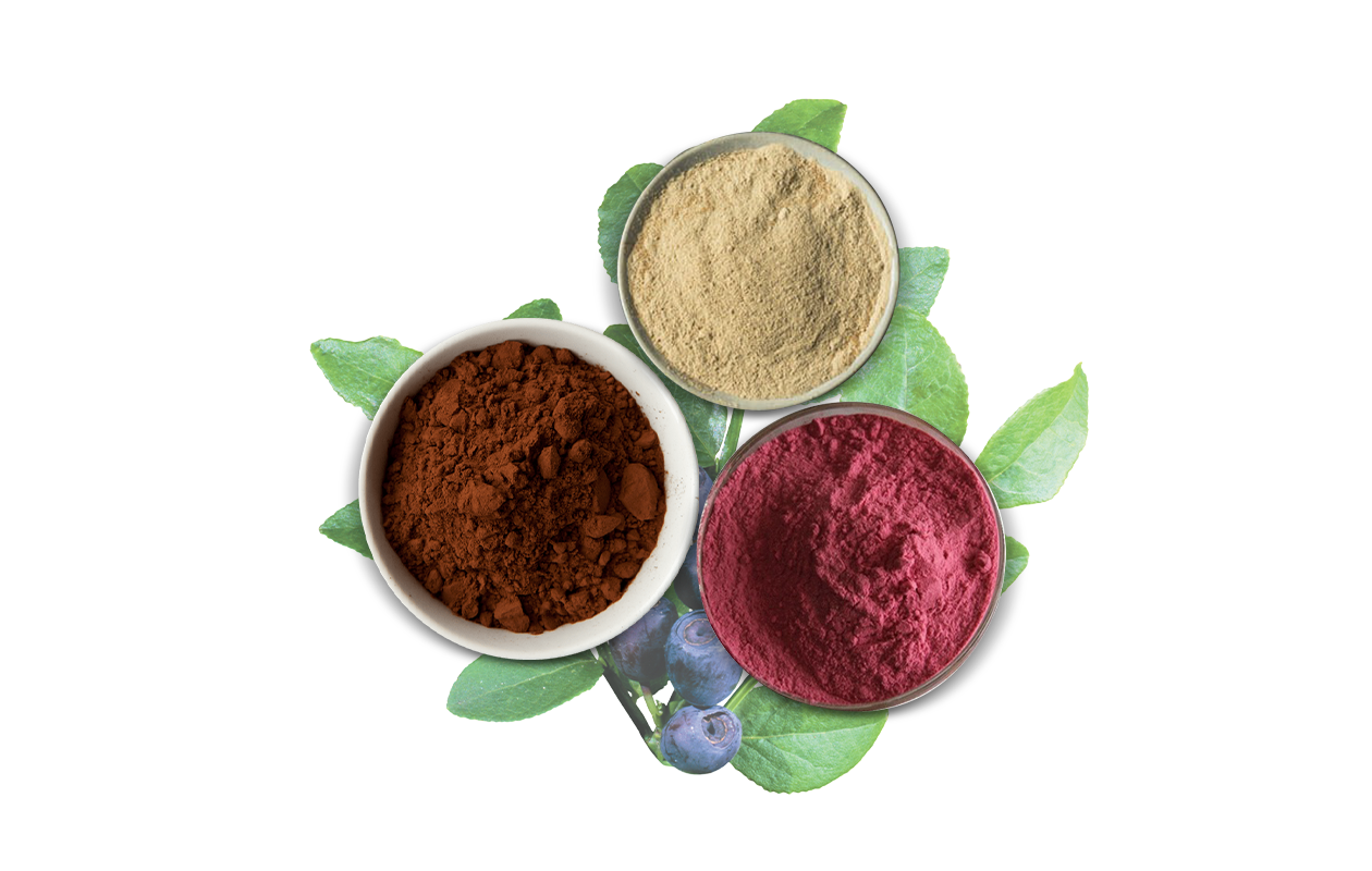 Overhead image of three bowls containing ginger root powder. maca root powder, and strawberry powder, with a picture of blueberries and leaves in the background.