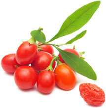 Photo of several bright red fresh raw goji berries with short green and a few leaves attached