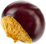 Close photo of single dried Guarana Seeds on white background