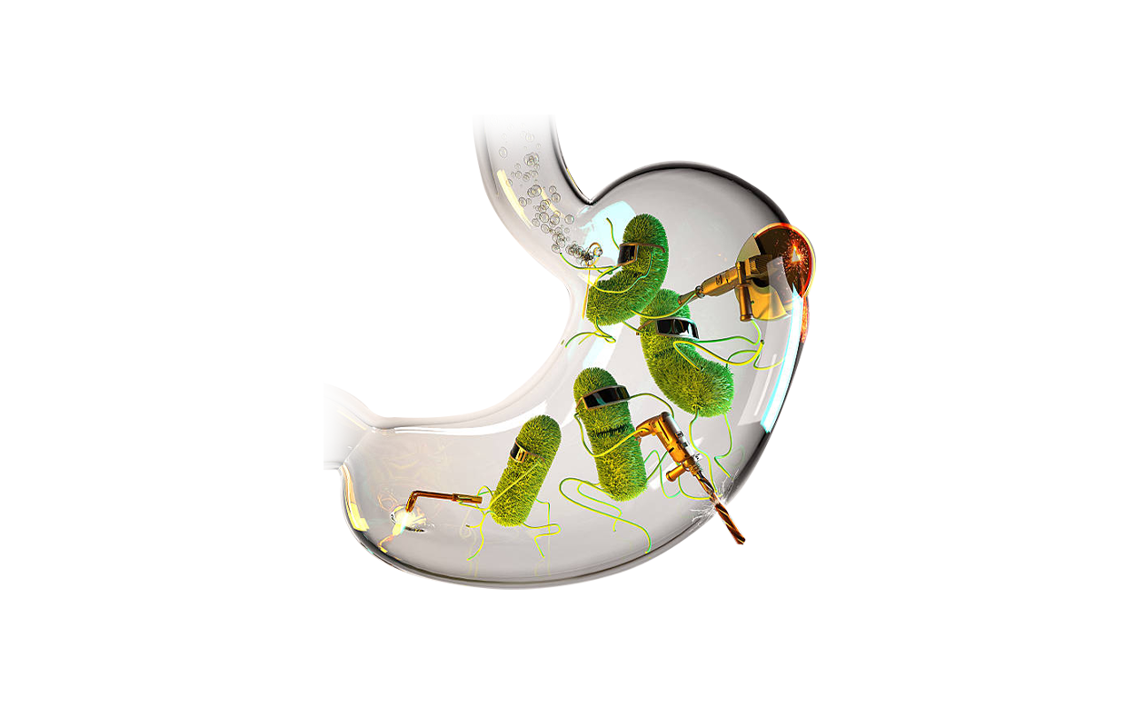 Photo signifying unhealthy Kidney