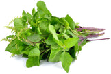 Image of a bunch of holy basil