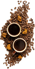 Image of coffee beans mixed with chunks of chaga and 2 coffee mugs full of coffee in the middle