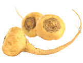 Photo of 3 fresh whole yellow Maca Roots