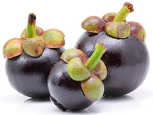 Image of 3 fresh purple Mangosteen Fruits