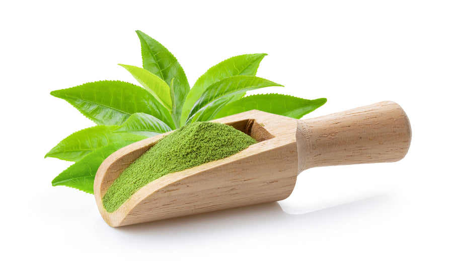 Image of green Matcha Green Tea Cashew Milk Powder - Organic from Z Natural Foods on a wooden scoop