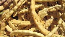 Mesquite Powder (Flour) - Organic Raw