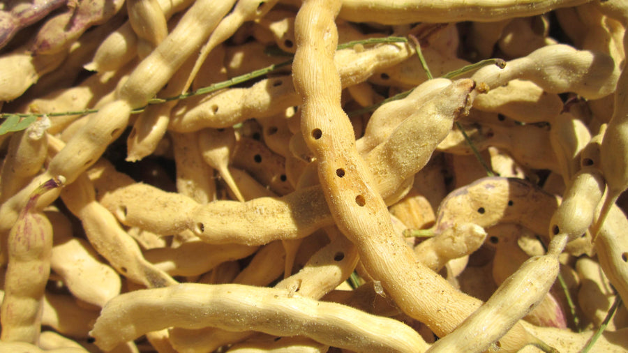 Mesquite Powder (Flour) - Organic Raw