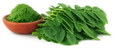 Moringa Leaf Powder in brown bowl and a pile of moringa leave