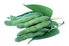 Image of 7 green mucuna seed pods in their stem