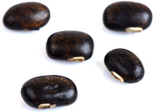 Image of 5 black Mucuna Pruriens Seeds