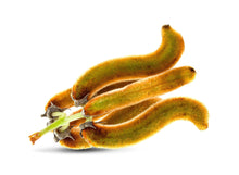 Image of Mucuna Pruriens Seed pods