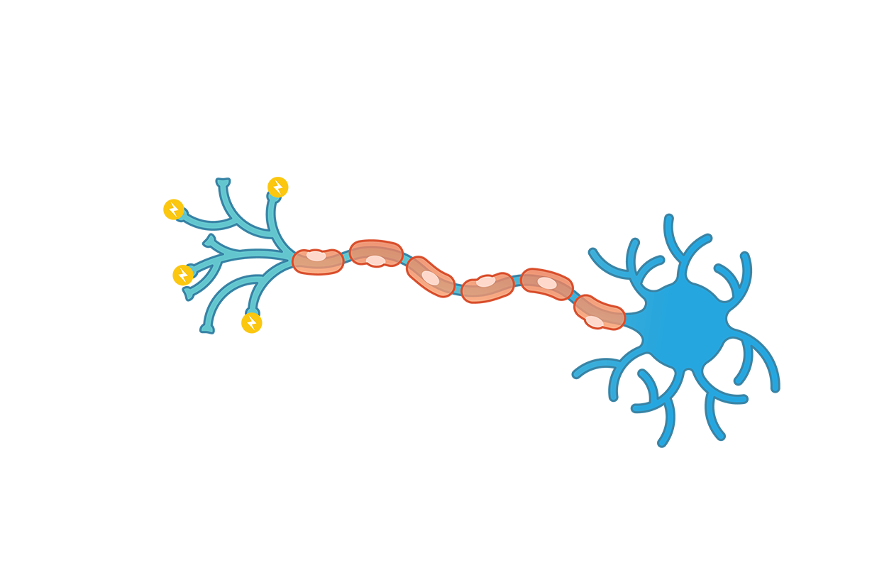 Image depicting natural foods for multiple sclerosis