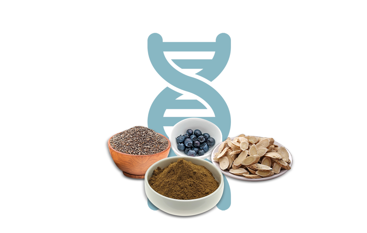 Image od strand of DNA with healthy foods in bowls signifying telomere health