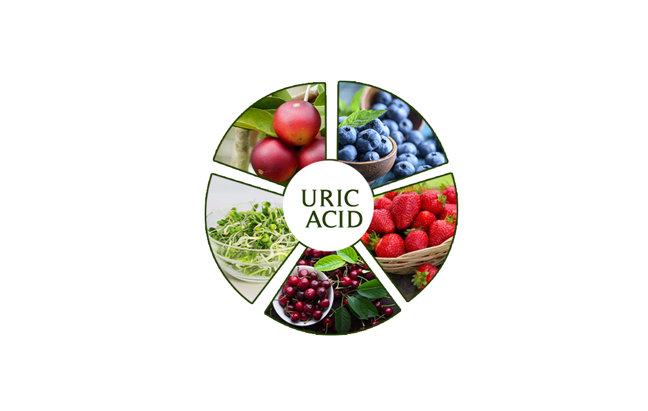 Photo saying Uric Acid and showing several fruits that may be beneficial