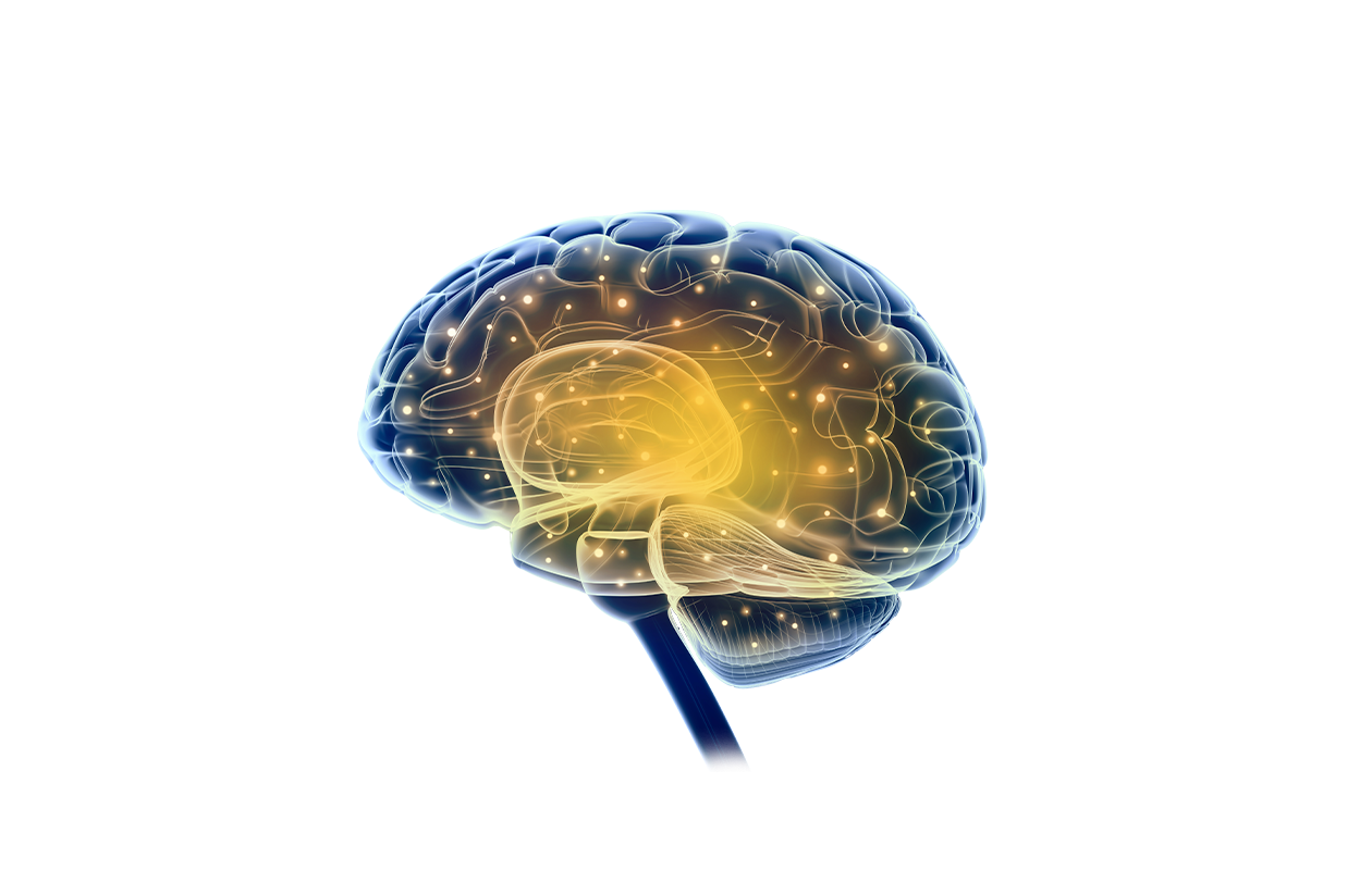 Image showing brain with many electrical synapses and healthy nervous system