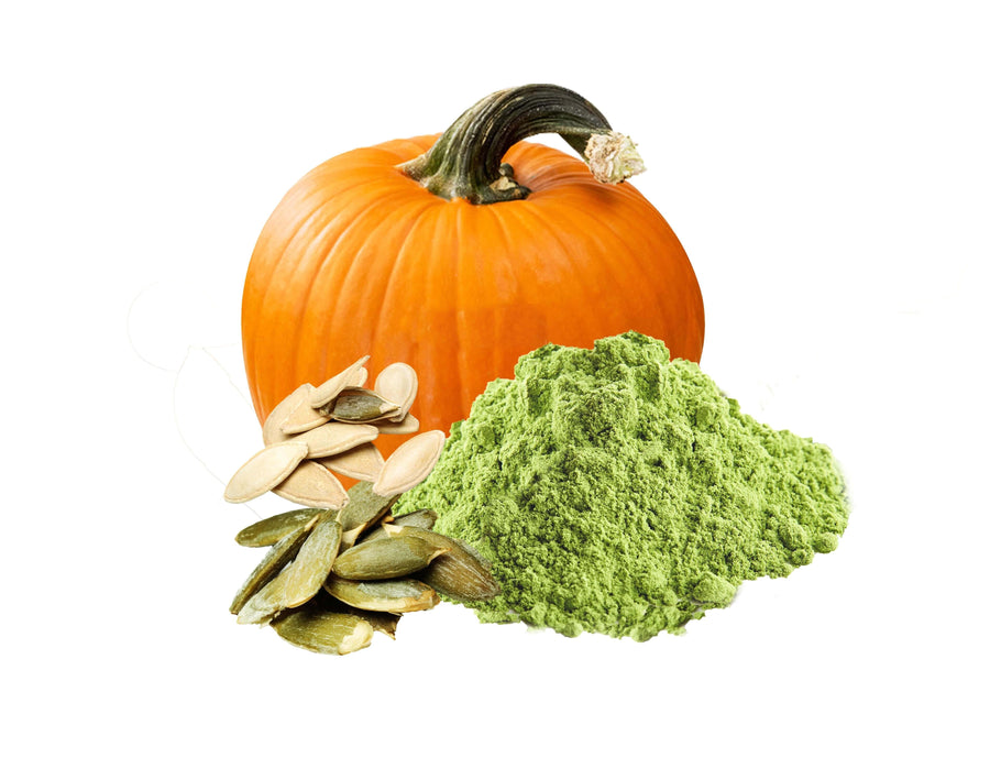Image of Pumpkin Seeds and pumpkin seed Protein powder with a whole ripe pumpkin in the backgroundal Foods
