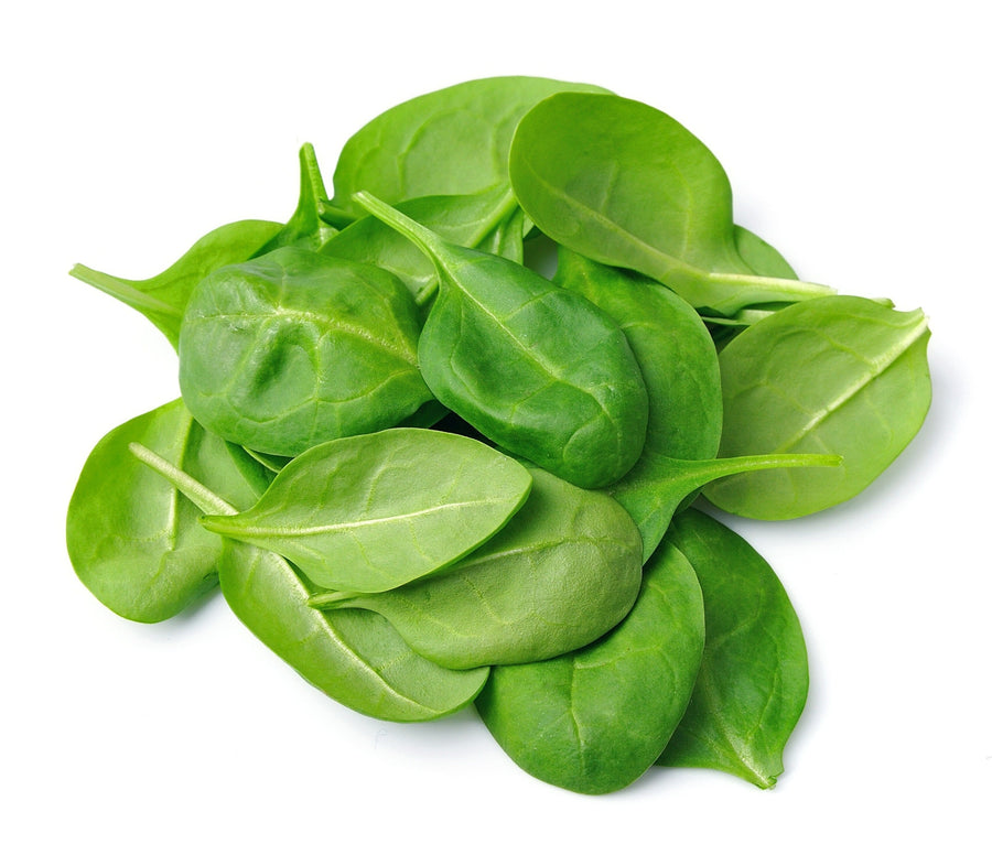 Spinach leaf's piled together on white background