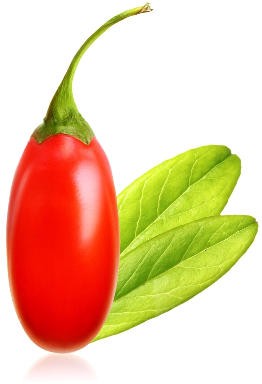Image of single Goji Berry on white background.