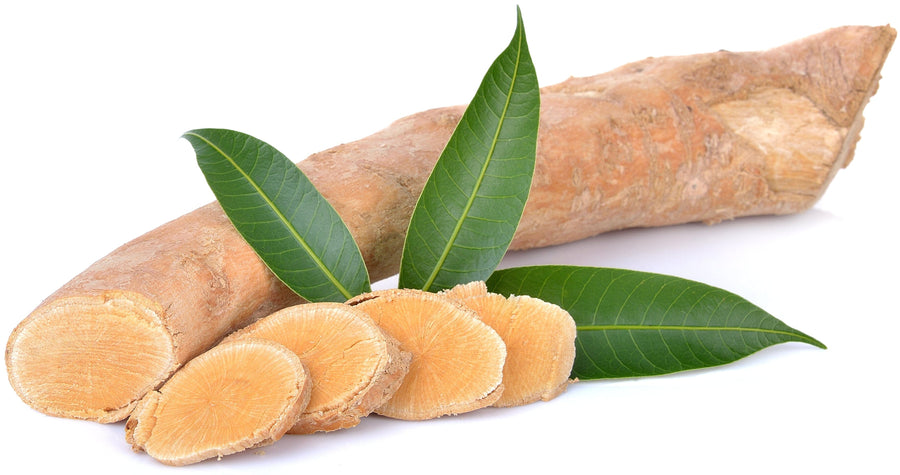 Tongkat Ali Root sliced with 3 green leaves and 4 slices of root