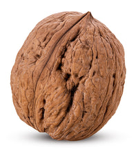 Closeup image of Walnut kernel on white background