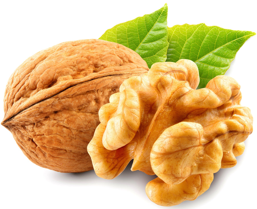 Closeup image of Walnut with walnut kernel behind it.