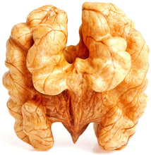 Closeup image of Walnut on white background