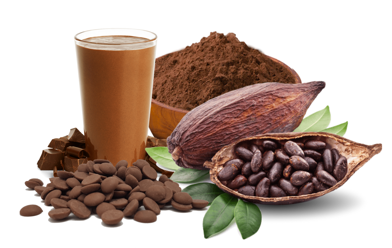 Cacao smoothie with cacao wafers and cacao beans with bowl of cacao powder in the background.