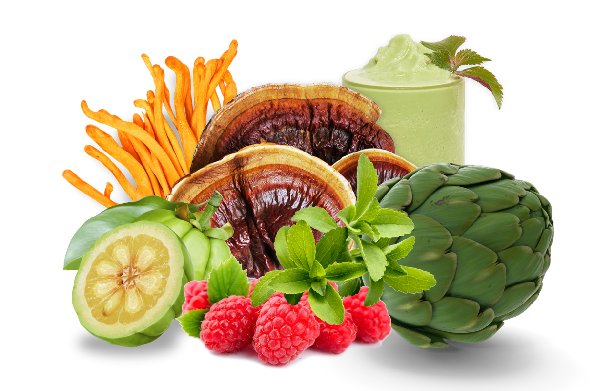 Image of whole cordyceps, turkey tail, and raspberries with smoothie in the background.