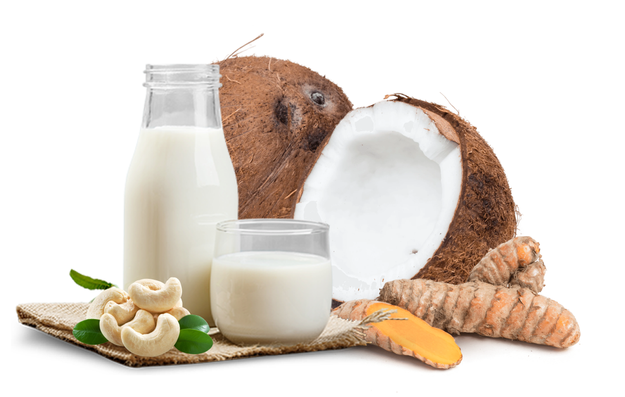 Image of dairy free milk in clear bottle and glass with cashews, sliced coconut, and turmeric root.