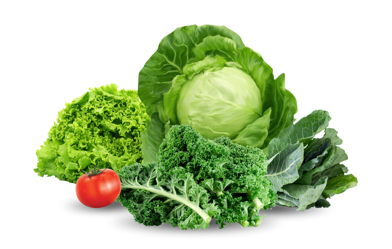Image of assorted Vegetable Leaves.